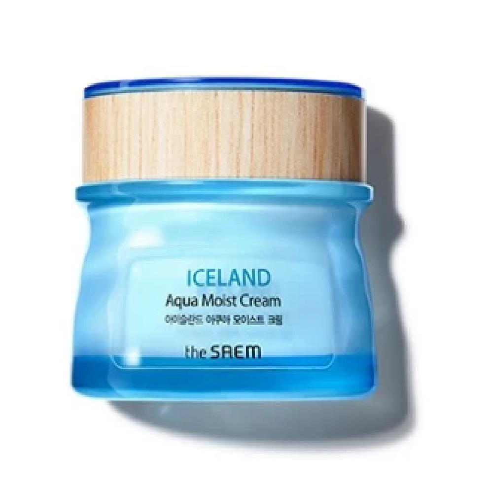 Iceland Aqua Moist Cream_Moisturizing Cream for Dry Skin_US Iceland Aqua Moist Cream 60ml