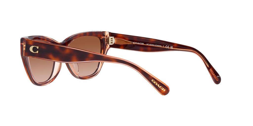 Sunglasses HC8370F CH660 PINK PINK GRADIENT Lens 56 [Coach] TORTOISE/TRANSPARENT Frame/BROWN