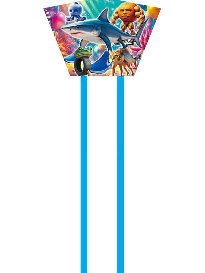 Frameless Cartoon Kite for Kids - Small Curved Triangle Design