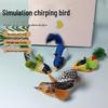 Interactive Chirping Bird Cat Toy: Bite-Resistant, Catnip-Infused with Hanging Self-Amusement Feature for Cats & Kittens