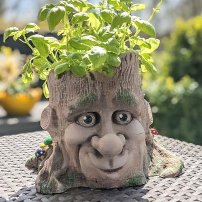 Old Man Face Cement Flower  Mould Plant Flower  Silicone Mold Indoor Outdoor Decor Succulent  Gift for Women