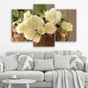 Three piece picture canvas print White Roses
