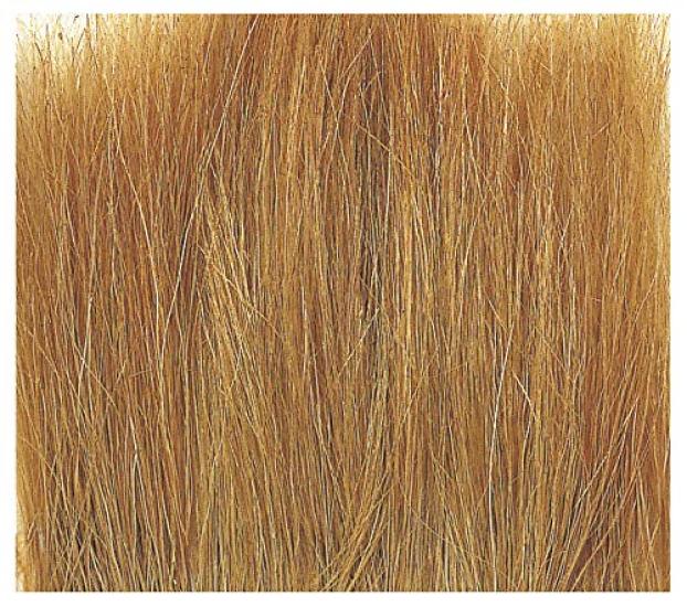 KATO Diorama Field Light Model Railroad Supplies Glass, Brown, 24-335,