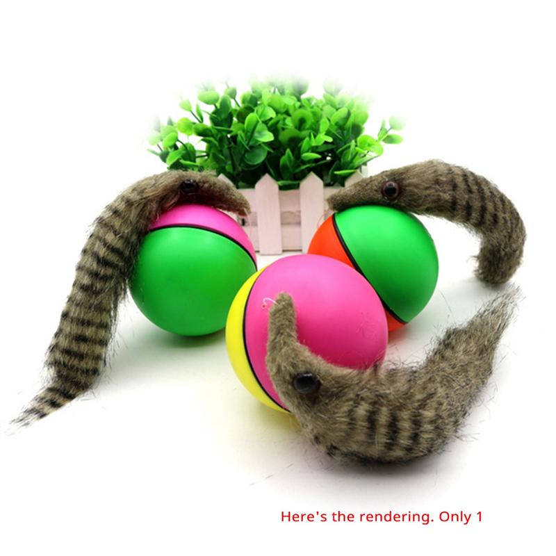 M-Modern-Electric Beaver Ferret Rolling Ball For Dog And Cat Interaction, Pet Chasing , Agility Training Supplies