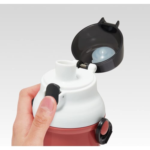 Skater Children's Plastic Water Bottle, 480ml, Antibacterial, Disney Baymax Design, Made in Japan, PSB5SANAG-A