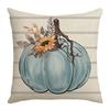 New Autumn and Winter Thanksgiving Pumpkin Color Block Letter Digital Print Decorative Pillow Cover Office Rest Pillow