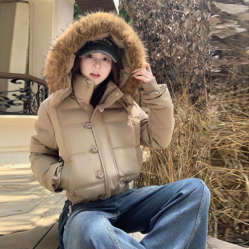 Winter new hooded cotton-padded clothes, cotton-padded clothes are thin and simple, big fur collar short coat women