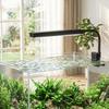 Adjustable Brightness Fish Tank Clip Lamp Aquarium Decorative LED Light  Ornamental Tank