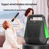 Philips SD140 Portable Bluetooth Speaker (CN version)