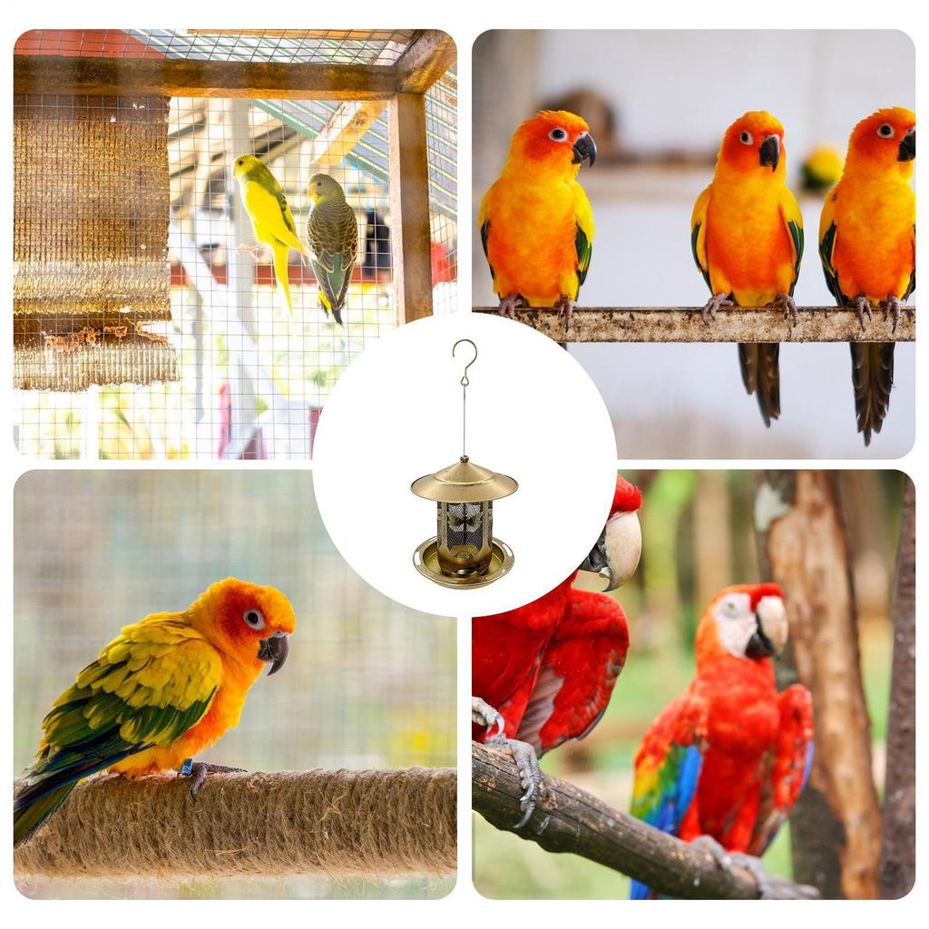 Bird Feeder Food Dispenser Squirrel-Proof Removable Base Hummingbird Feeder for Garden Yard Window Deck Pole Chicken Coop