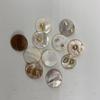 10 Stück/Packung Natürliche Blasenperlmutt-Muschelscheiben 20 mm Rund Süßwasserperlmutt Münzmuschel Anhänger Für DIY Schmuck Harz Bastelohrringe Herstellung