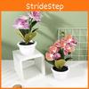 Flower Simulated Four Spotted Striped Phalaenopsis Artificial Bonsai Decor Room