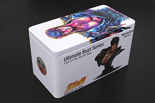 Diecast Master Model Master Fist of the North Star Kenshiro Bust, Approximately 140mm Tall, Resin, Painted, Complete Figure, MMFNS01-01