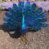 Metal Peacock Statue Decorative Sculpture Figurine Crafts Household Supplies for Indoor Outdoor Garden Yard Patio Decor