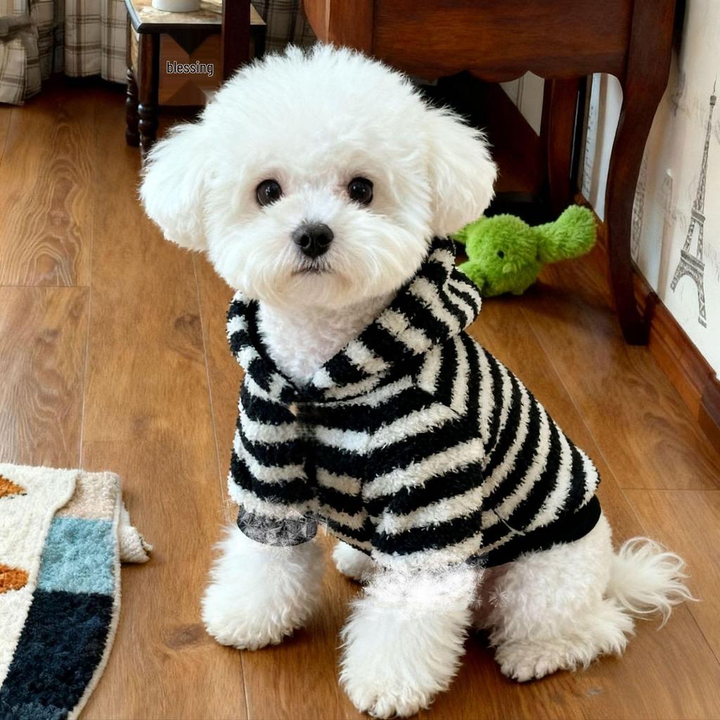 Autumn & Winter Velvet Striped Pet Vest for Hairless Cats & Corgis