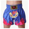 Muay Thai Boxing Shorts Breathable Cycling Jersey Training Combat Fight Workout Short Pants