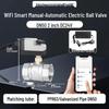 WiFi Smart Electric Ball Valve with Remote Control Timer for Automatic Irrigation