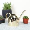 500ml Watering Can Stainless Steel Long Mouth Sprinkling Pot with Handle for Home Garden Plants Flowers Watering