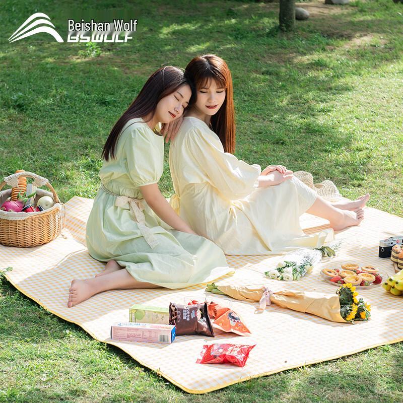 Outdoor Portable Picnic Mat