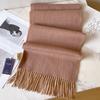 Camel Pure Wool Scarf Women's Winter High-end Brown Double-sided Two-color Scarf Thickened Warm Outer Shawl