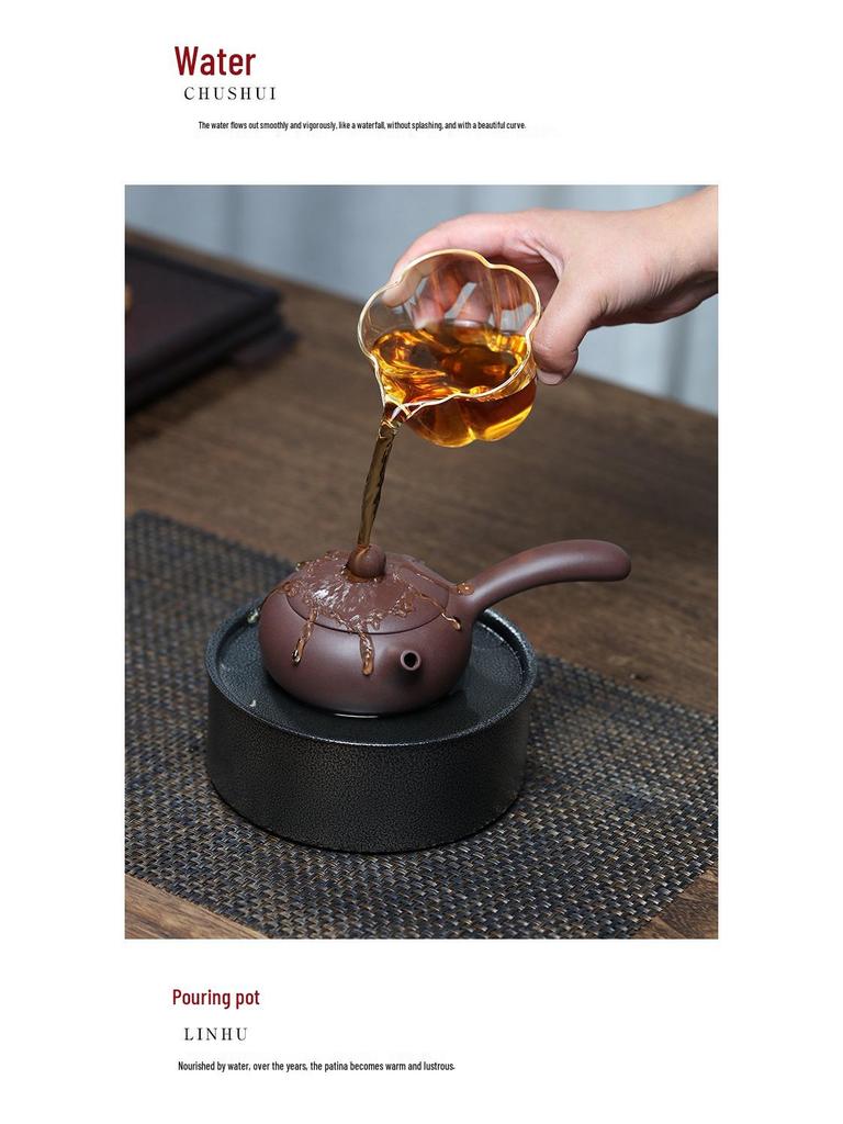 Tangyu Zisha Side Handle Xishi Teapot - Original Yixing Clay Kung Fu Teaware