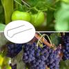 U-Shape Floral Pins DIY Craft Wreath Bouquet Making Pins for Holiday Flower Arrangement Fern Moss Plant U-Pins Sewing Project