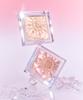 Clio Prism Glow Highlighter