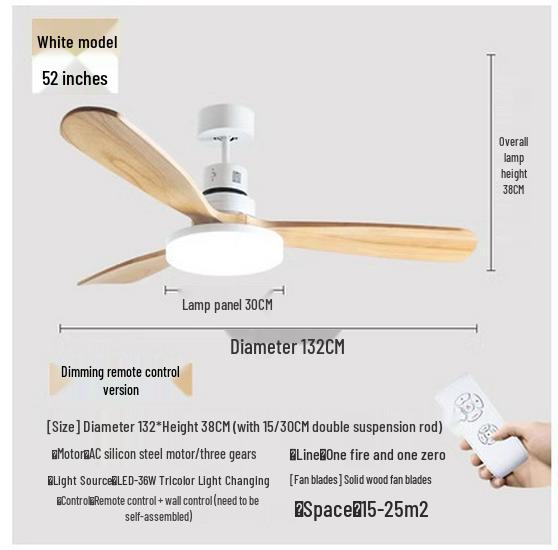 Nordic Modern LED Ceiling Fan Light for Living Room and Bedroom