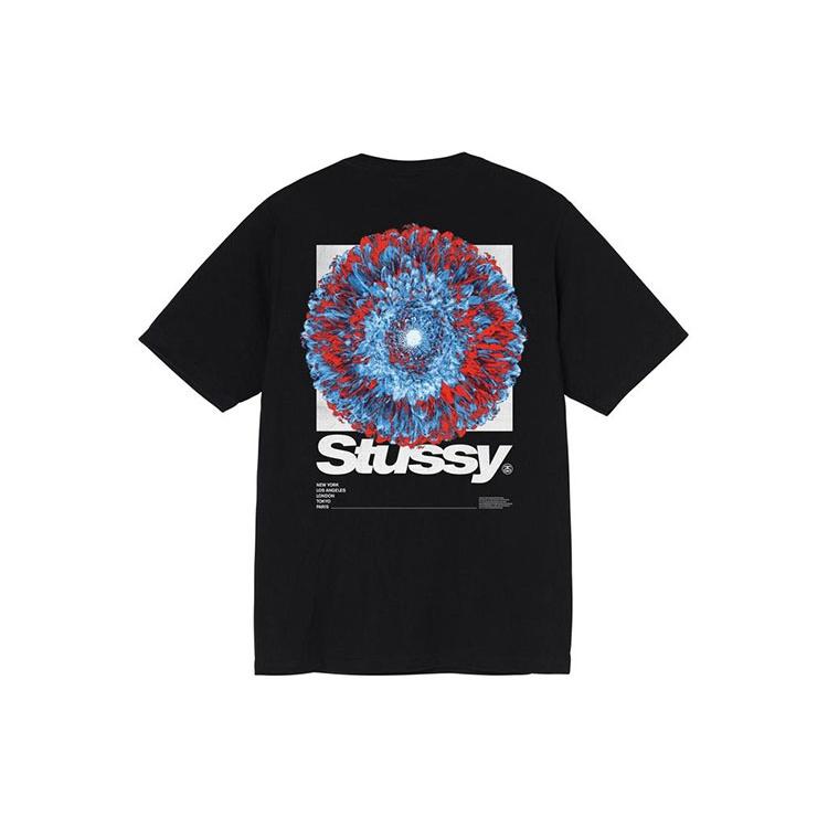 Stussy Young Organics Tee Unisex 1904720