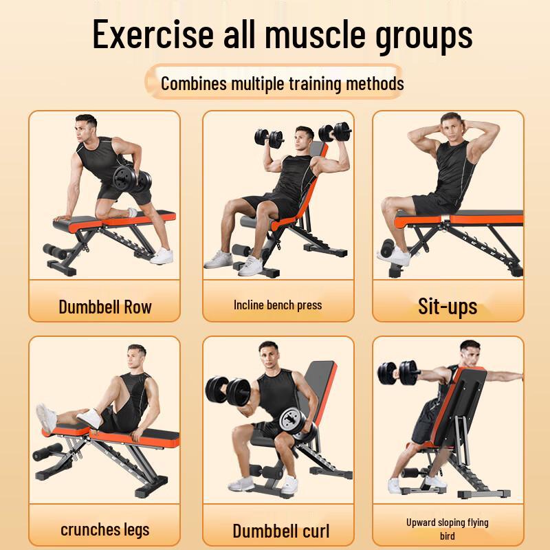Adjustable Dumbbell Bench