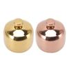 Stainless Steel Gold Seasoning Condiment Pot Spice Salt Sugar Pepper Container Jar Storage Organizer