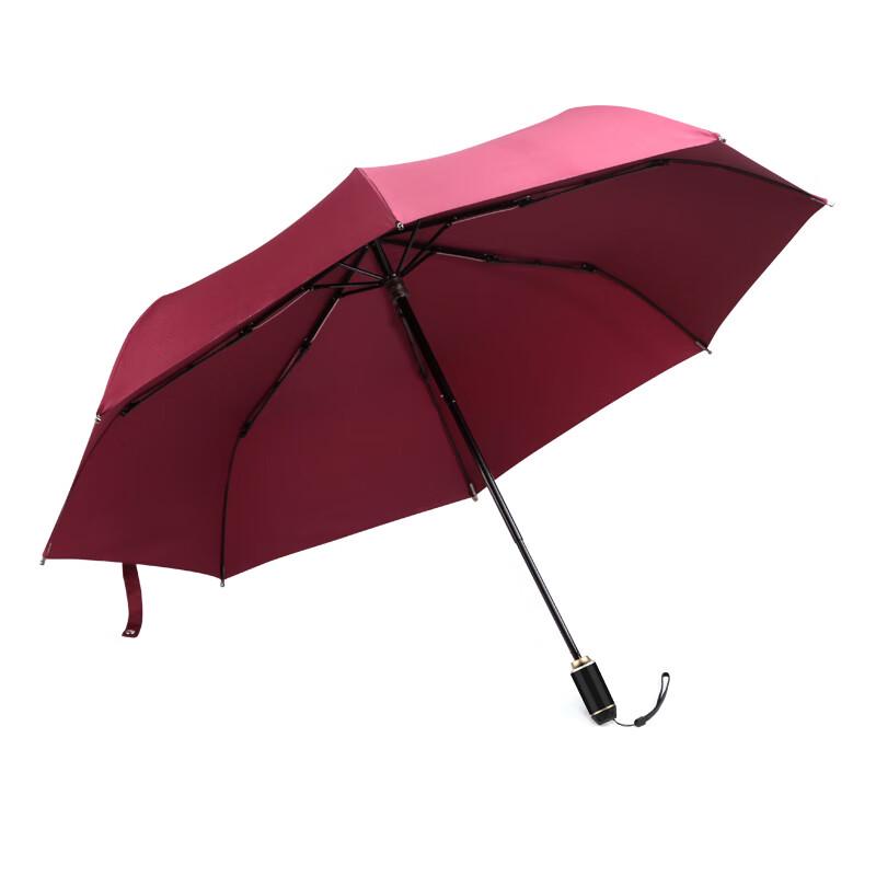 Xitu Large Automatic All-Weather Umbrella
