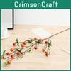 Branch Fruit Hawthorn Hotel Landing Flower Arrangement Decoration Photography