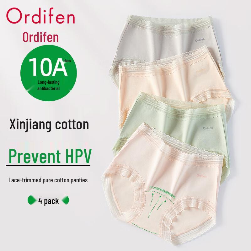 Audiff Women's Cotton Lace Antibacterial Briefs 4-Pack