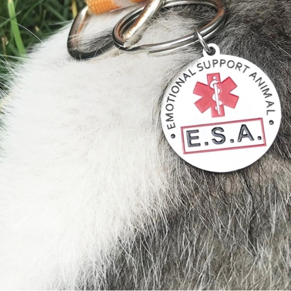 Dog Tag Anti-Lost Stainless Steel Dog Tag Personalized Creative Double-Sided Customized Exquisite Pet Dog Collar Accessories China Mainland