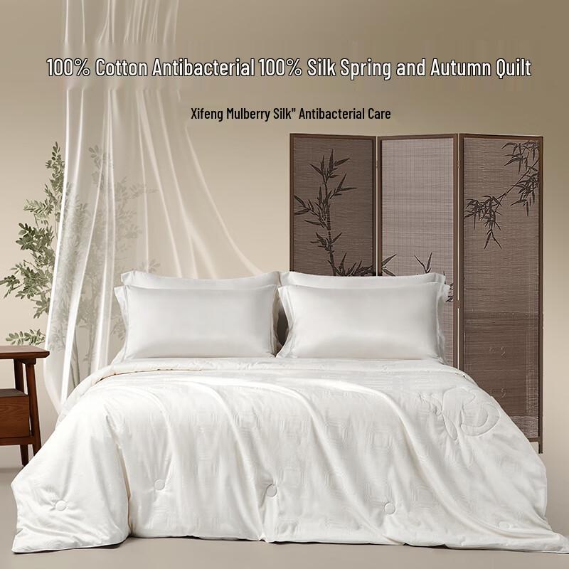 Beyond Home Textile Linlang All-Season Tussah Silk Quilt