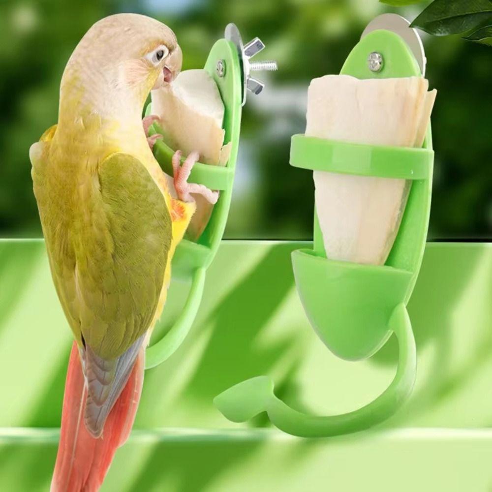 Cage Holder Bird Cage Feeding Holder Feeding Holder Parrot Food Feeder Bird Feeder for Parrot
