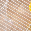 Hamster Cage, 2 Tier Gerbil Cage with Running Wheel, Water Bottle, Dish