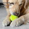 Dog Interactive Fetch Toy Set