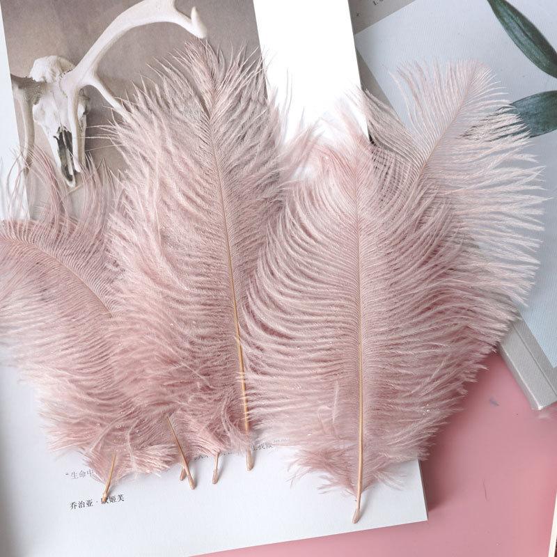 Colored Ostrich Hair 15-20Cm Wedding Ornament Wall Decoration Feather Wall Hand Bouquet Diy Dream Catcher Material