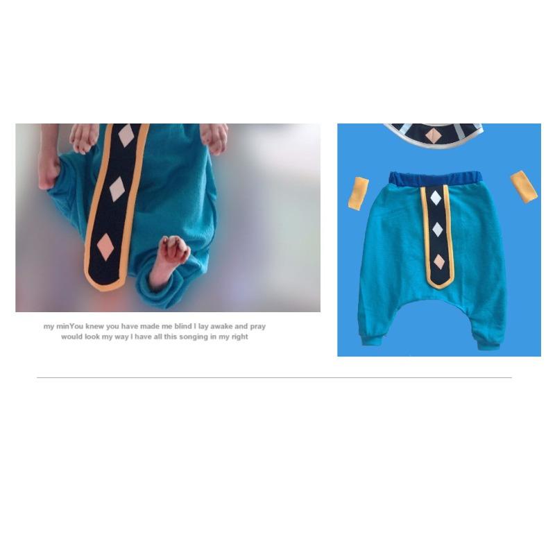 Sphinx Hairless Cat Clothes Dragon Ball God of Destruction Lord Beerus Brothers Xiangpa Pure Cotton Anti-take-off Crotch Pants