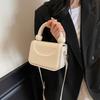 Customer Order Small Square Bag Women's 2025 New Autumn and Winter Portable Mini Niche Design Bag Trendy Fashion Messenger Bag