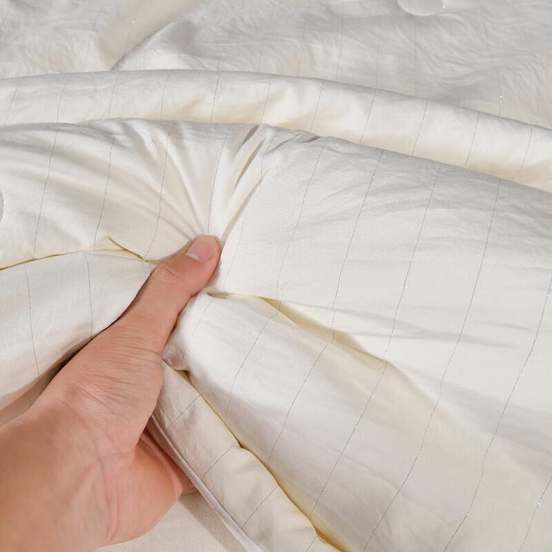 Fangwang All-Season Tussah Silk Blend Quilt