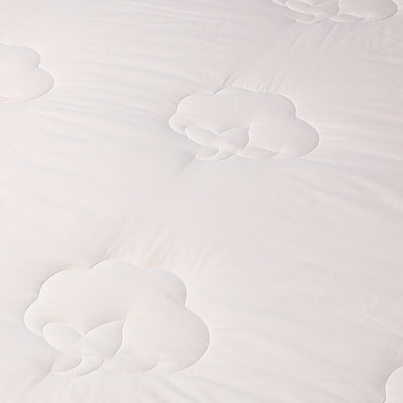 FUANNA Xinjiang Cotton Winter Duvet Insert