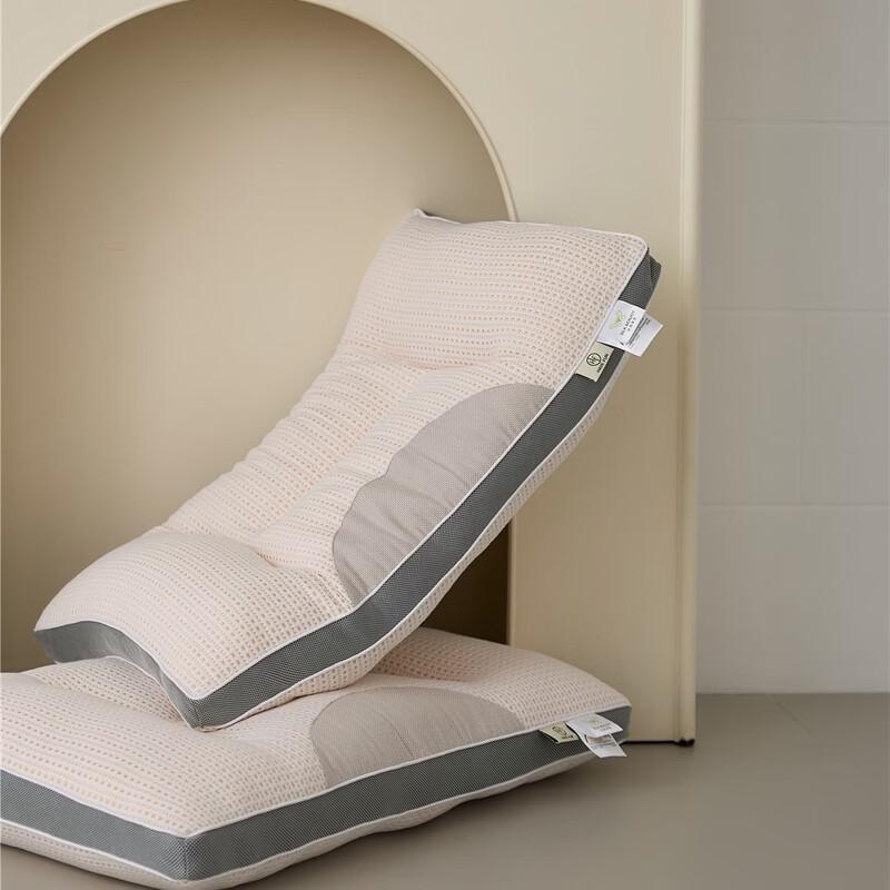 

LISM Deep Sleep Washable Support Pillow (2-Pack)