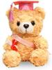 Graduation Teddy Bear Plush Toy Set – Bachelor’s Degree Gift, Plush Toy To Celebrate Exam Success, Unisex Graduation Souvenir