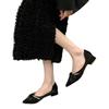 Pointed Single Shoes Women 2025 New Spring and Summer Temperament with Skirt Evening Shoes Low Heel Shallow Mouth French Fairy Wind Ladyshoes