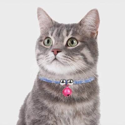 [Pet] Cat Bell Necklace