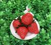 Summer Artificial Strawberry Christmas Home Living Room Decoration Outdoor Garden Wedding Decor DIY Cake Gift Box Accessories
