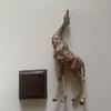 [USED] Nature Technicolor Reticulated Giraffe Savanna